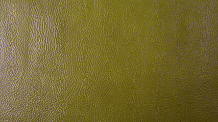 Celadon green cattle leather texture background