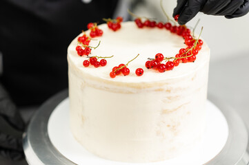 a professional female pastry chef prepares a sweet cake in the kitchen, putting red currants on it