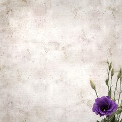 textured stylish old paper background with dark violet eustoma flowers and buds
