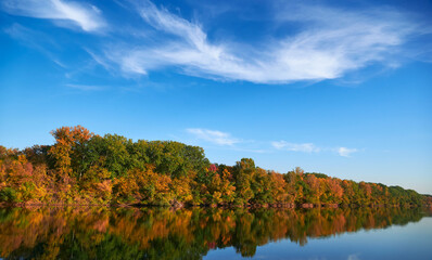 bright colorful autumn forest landscape, trees near river and blue sky