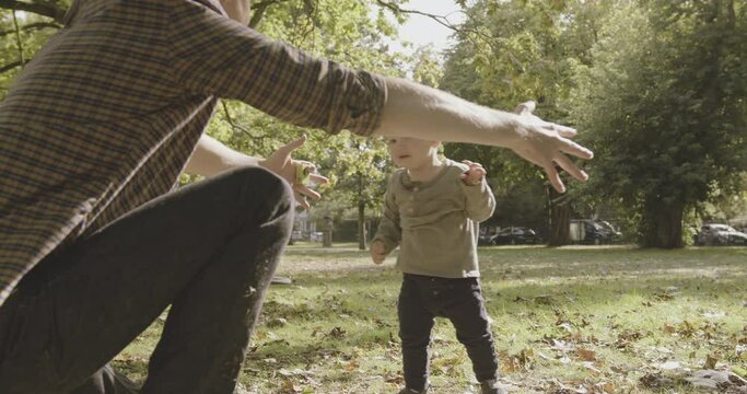 Father playing with baby boy son in park in autumn, toddler walking into arms parent