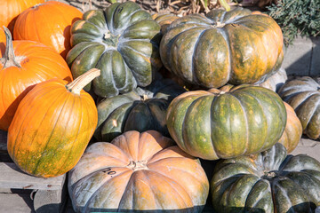 Big Pumpkin pile , assortment of different kinds. Seasonal fall market.