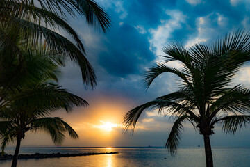 Fototapeta na wymiar Sunrise at Itaparica Beach on the Brazilian coast, Bahia. Wooded beach with coconut trees and blue sea.