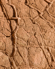 Dry Mud Texture Background