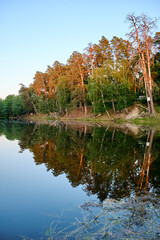 Green deciduous trees and pines hung over the lake. Reflection of the forest in the water.