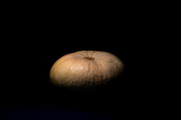 organic pumpkin close up, low key dark photography, empty space for text
