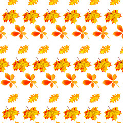 The picture shows a background with leaves, three types of leaves, autumn leaves. Yellow background