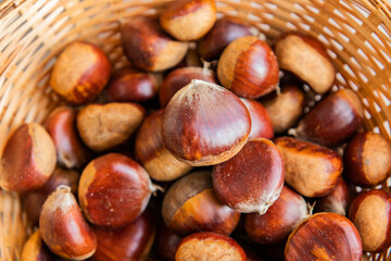 Castañas de temporada de Otoño
