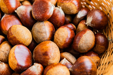 Castañas de temporada de Otoño