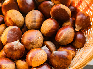Castañas de temporada de Otoño