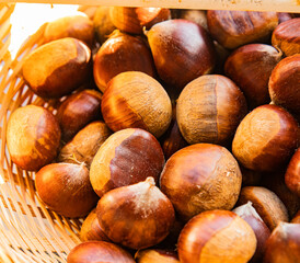 Castañas de temporada de Otoño