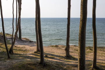 Morze bałtyckie Poddąbie Klif