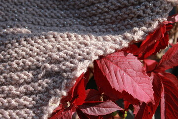 Warm wool yarn on the background of autumn leaves