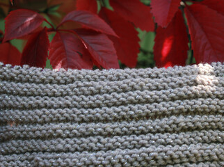 Warm wool yarn on the background of autumn leaves