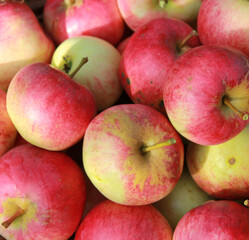Fototapeta na wymiar Lots of juicy ripe red apples