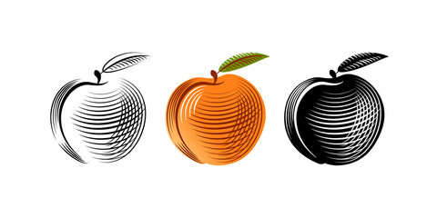 Set peaches icon, vector illustration. Peach gravure style. Peach isolated on white background.