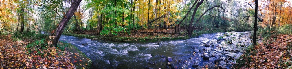 paysage d'automne avec une forêt et une rivière
