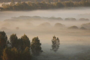 Obraz premium morning with fog