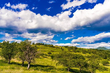Obraz premium Greben hill by the Danube river in Serbia