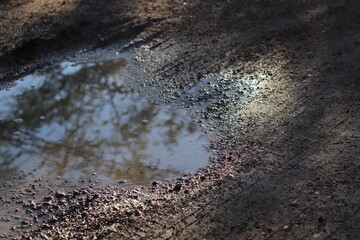 reflection from water on the ground
