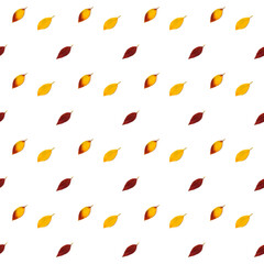 A seamless pater of autumn fallen bright leaves of yellow, red and brown on a white background. autumn pattern, Flat lay