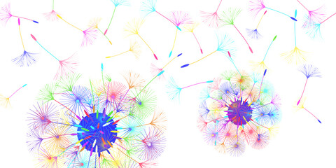 Dandelion background.