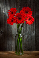 Shinny Red Gerbera Flowers in Vase