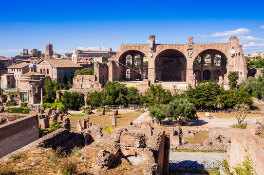 Basilica of Maxentius or Constantine seen from Palatine Hill, Rome, Lazio