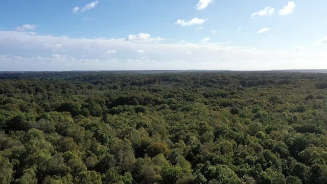 For&ecirc;t de Rambouillet, Yvelines, France