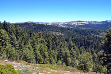 California - Highway 89 Carson Pass