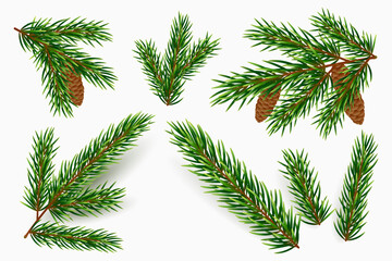 Vector fir tree branches isolated on white background. Realistic green pine branch with cones. Design element for winter holidays. Spruce boughs in different shapes. Traditional Christmas decoration.
