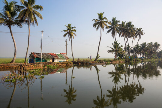 Backwaters, Alappuzha (Alleppey), Kerala, India