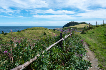 A wood log fence along the edge of a field on a farm. There's a worn footpath leading to the ocean. The blue sky has clouds. There are mounds of grassy land and a green treed island in the distance. 