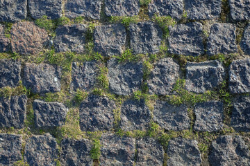 Covering the street with gray granite paving stones, overgrown with green moss. Background.