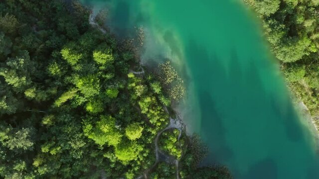 Aerial top down amazing landscape view of deep lake or river. Beautiful lakeshore with pine trees and green plants. Clean turquoise water of pond. Zoom in shot, untouched nature from above