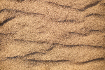 Fototapeta na wymiar Sand background texture, top view with copy space