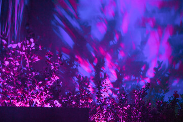 Ultraviolet tropical garden