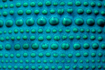 Macro abstract art texture background of a vibrant turquoise color glazed ceramic surface, with copy space