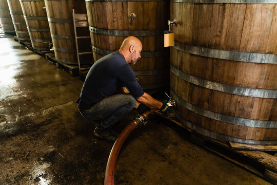 49 years old wine maker working to produce new wine for his winery