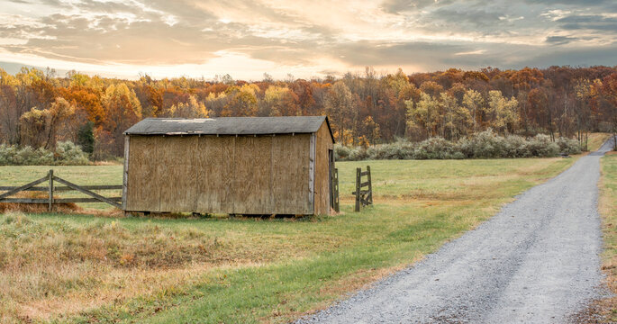 Abandoned brown barn with Fall foliage in the background.