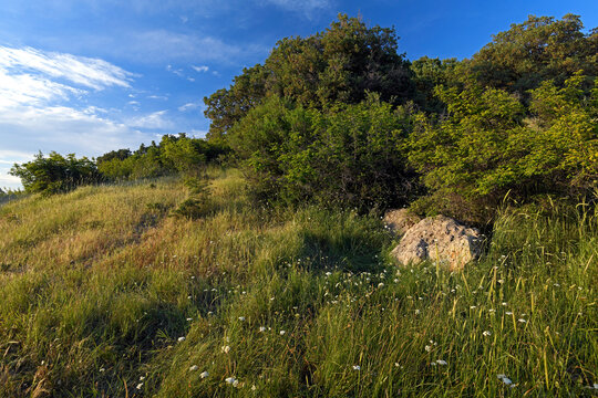 Naturlandschaft in Thrakien, Griechenland // Natural landscape in Thrace, Greece