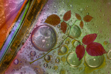 colorful stains on the water close up