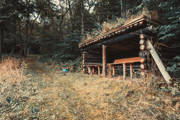 Wooden shelter in the forest during autumn.