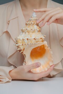 Faceless person holding giant conch shell in studio