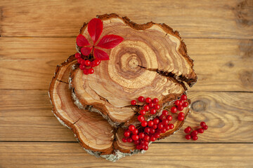 A stump made of a felled tree with annual rings on a background of wooden planks. Red berries, autumn leaf. Top view