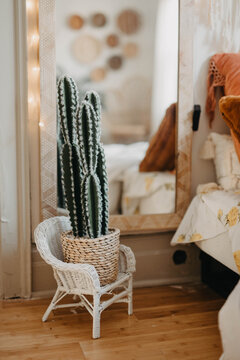A wicker chair with a plant in it