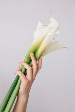 Crop hand holding callas