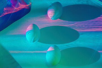 Eggs under colorful neon illumination