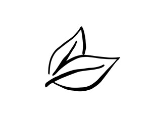 Obraz premium Tea leaf hand drawn vector graphics elements black and white