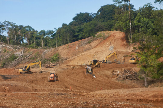 Deforestation destruction of pristine rain forest